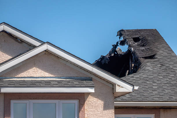 Licensed Content Restoration service in Lutz, FL - Fire Damage Biloxi